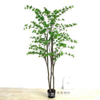 uploads/erp/collection/images/Home Garden/dgjiawang/XU0612979/img_b/XU0612979_img_b_5